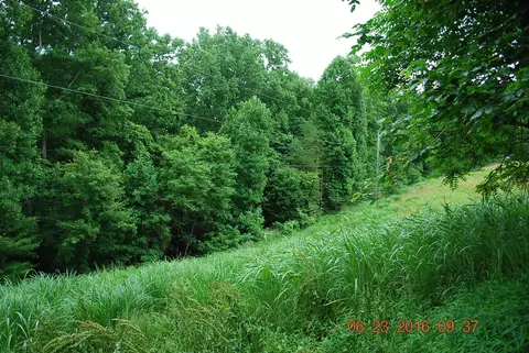 3255 Johnson School Rd, Thaxton, VA 24174 photo 37