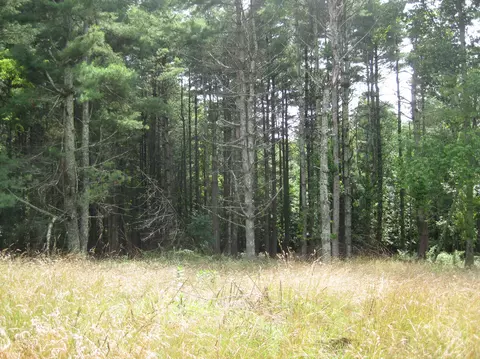 5385 Old Pike Rd, Pilot, VA 24138 photo 2