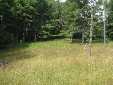 5385 Old Pike Rd, Pilot, VA 24138 photo 5