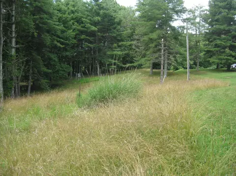 5385 Old Pike Rd, Pilot, VA 24138 photo 3