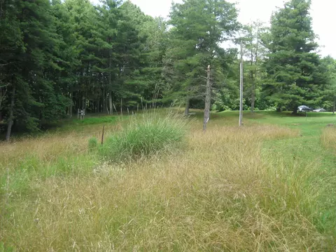 5385 Old Pike Rd, Pilot, VA 24138 photo 4