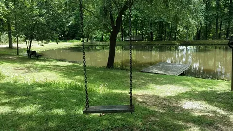 1409 Hidden Forest Dr, Goodview, VA 24095 photo 32