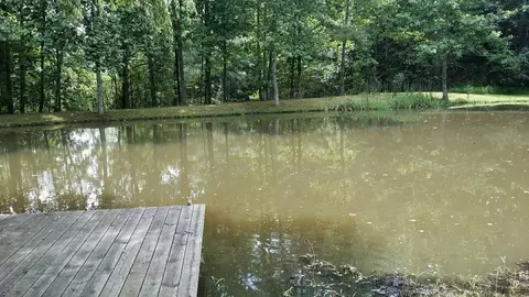 1409 Hidden Forest Dr, Goodview, VA 24095 photo 30