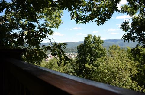 515 Luke Mountain Rd, Covington, VA 24426 photo 17