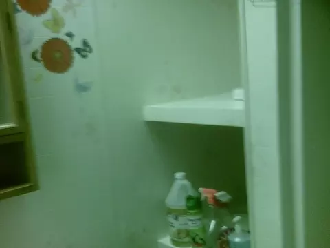 2011 Clinton Ave SE, Roanoke, VA 24013 photo 16