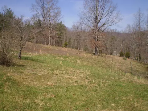 2817 Reesedale Rd, Elliston, VA 24087 photo 25