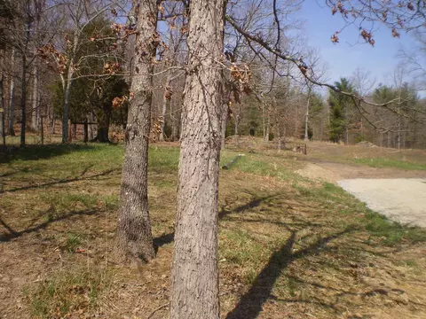 2817 Reesedale Rd, Elliston, VA 24087 photo 32