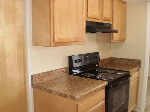 2817 Reesedale Rd, Elliston, VA 24087 photo 10