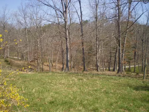 2817 Reesedale Rd, Elliston, VA 24087 photo 24