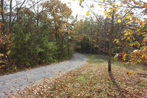 960 Purgatory Mountain Rd, Buchanan, VA 24066 photo 8