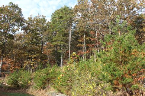 960 Purgatory Mountain Rd, Buchanan, VA 24066 photo 10