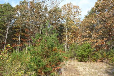 960 Purgatory Mountain Rd, Buchanan, VA 24066 photo 11