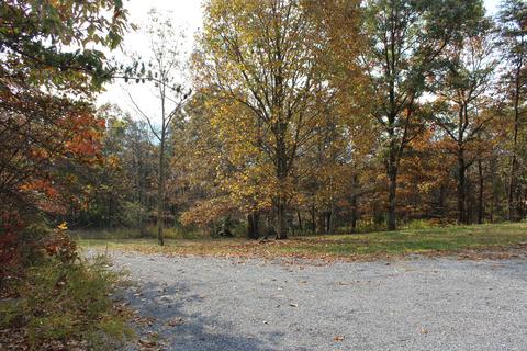 960 Purgatory Mountain Rd, Buchanan, VA 24066 photo 9