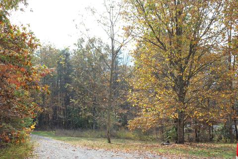 960 Purgatory Mountain Rd, Buchanan, VA 24066 photo 7