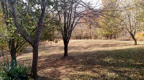 1311 Jumping Run Dr, Goodview, VA 24095 photo 31