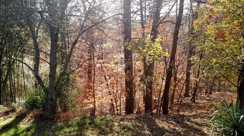 1311 Jumping Run Dr, Goodview, VA 24095 photo 30