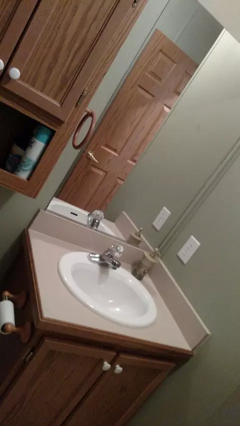 1311 Jumping Run Dr, Goodview, VA 24095 photo 13