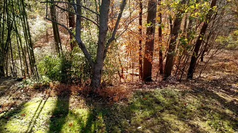 1311 Jumping Run Dr, Goodview, VA 24095 photo 36