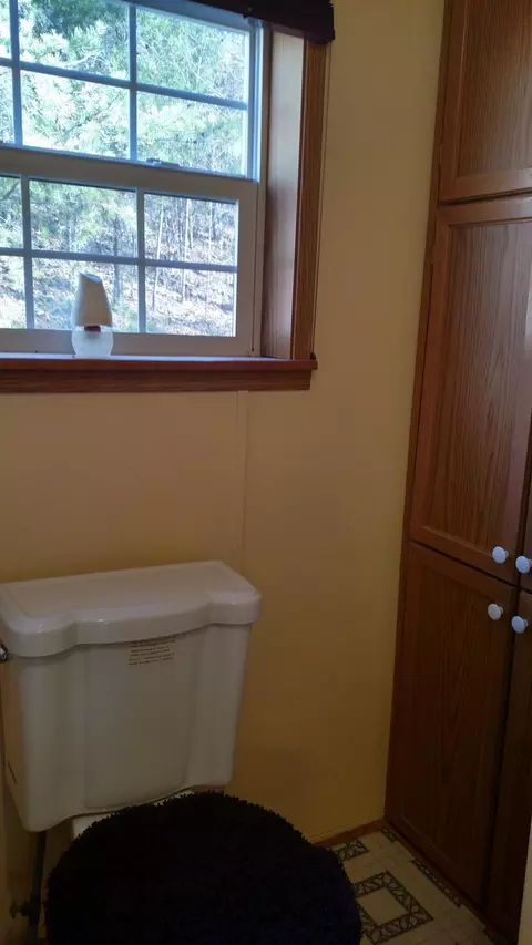 1311 Jumping Run Dr, Goodview, VA 24095 photo 27