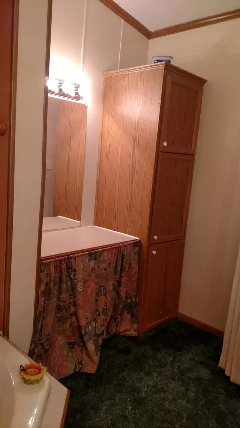 1311 Jumping Run Dr, Goodview, VA 24095 photo 21