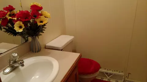 1311 Jumping Run Dr, Goodview, VA 24095 photo 44