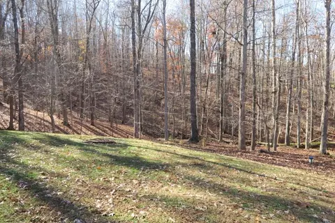 103 Waterside Dr, Moneta, VA 24121 photo 17