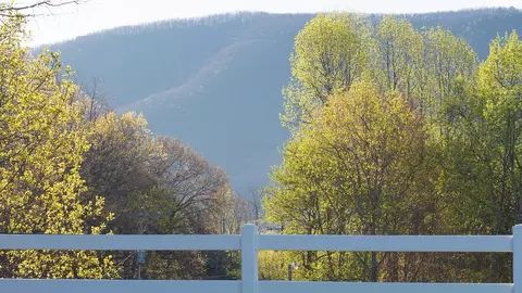 5295 Smith Mountain Rd, Penhook, VA 24137 photo 18