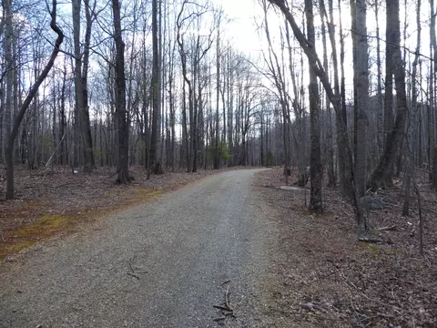 1764 Buffalo Ridge Rd, Ferrum, VA 24088 photo 15
