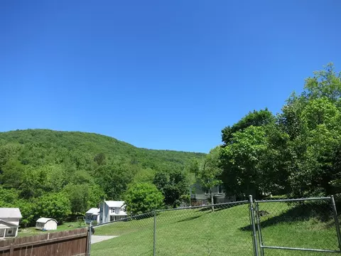26 Second St, Eagle Rock, VA 24085 photo 64