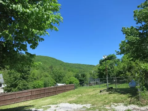 26 Second St, Eagle Rock, VA 24085 photo 63
