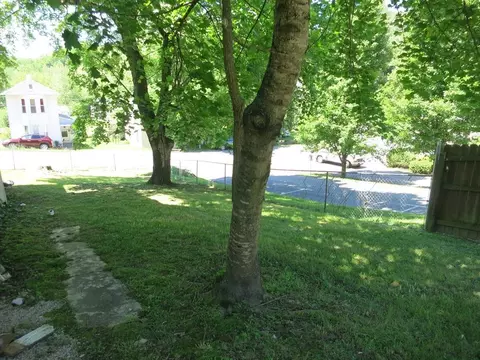 26 Second St, Eagle Rock, VA 24085 photo 56
