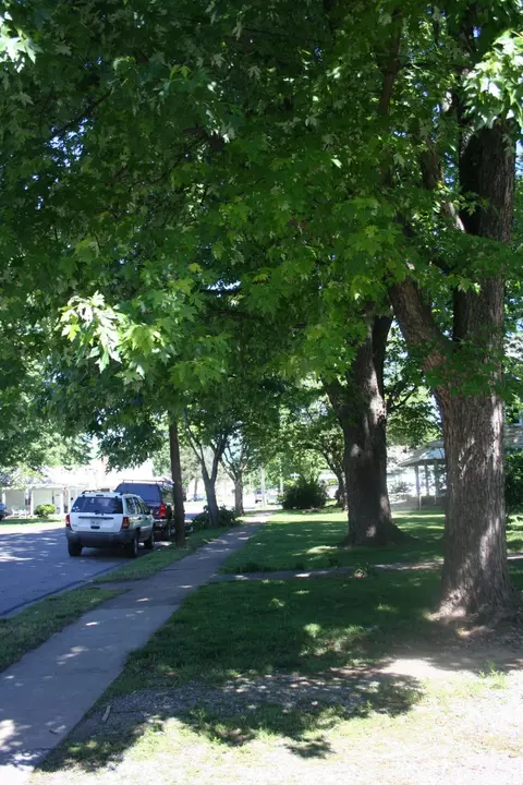 511 Bowman Ave, Salem, VA 24153 photo 6