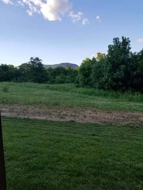 861 Walhalla Ct, Roanoke, VA 24019 photo 30