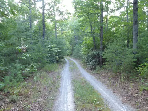 1070 Beech Mountain Rd, Ferrum, VA 24088 photo 58