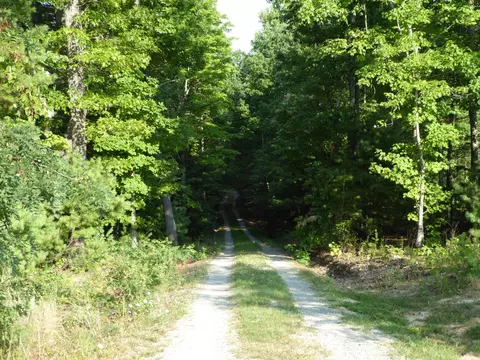 1070 Beech Mountain Rd, Ferrum, VA 24088 photo 11