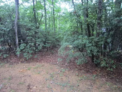 80 Boulder Point Dr, Hardy, VA 24101 photo 50