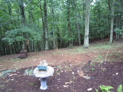 80 Boulder Point Dr, Hardy, VA 24101 photo 51