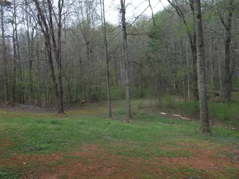 6818 Franklin St, Ferrum, VA 24088 photo 13