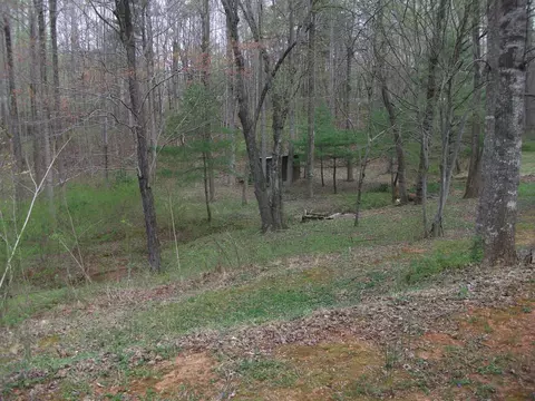 6818 Franklin St, Ferrum, VA 24088 photo 15