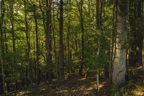 1150 Thunderstruck Rd NE, Floyd, VA 24091 photo 54