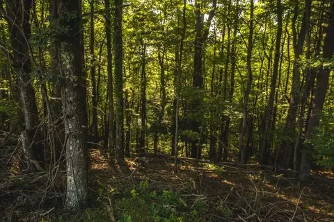 1150 Thunderstruck Rd NE, Floyd, VA 24091 photo 3
