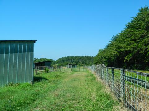 4637 Mountain Valley Rd, Axton, VA 24054 photo 40