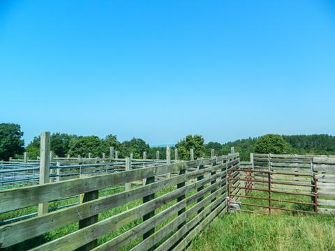 4637 Mountain Valley Rd, Axton, VA 24054 photo 33