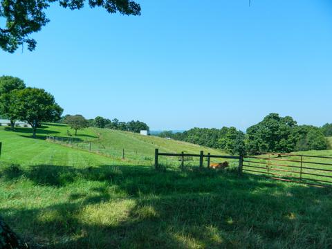 4637 Mountain Valley Rd, Axton, VA 24054 photo 41