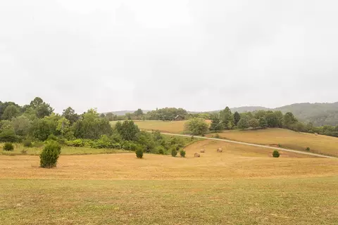 221 River Ridge Dr, Max Meadows, VA 24360 photo 29