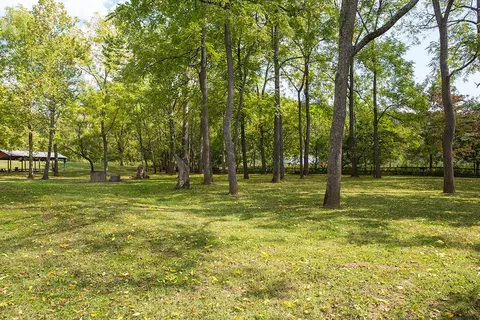 221 River Ridge Dr, Max Meadows, VA 24360 photo 42