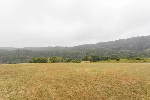 221 River Ridge Dr, Max Meadows, VA 24360 photo 30