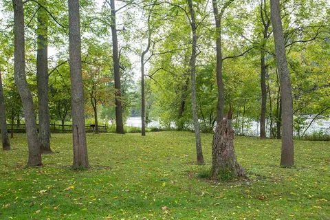 221 River Ridge Dr, Max Meadows, VA 24360 photo 39