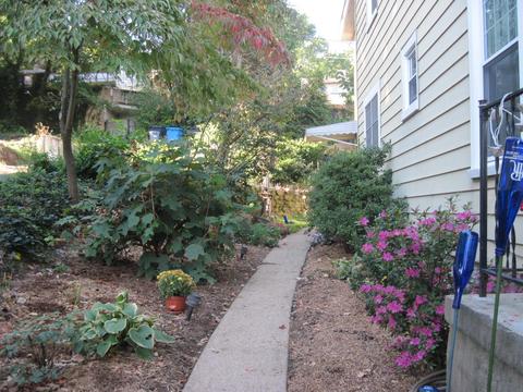 607 Walnut Ave SE, Roanoke, VA 24014 photo 8