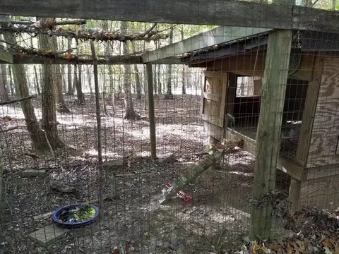 2584 Jasmine Rd, Sandy Level, VA 24161 photo 11